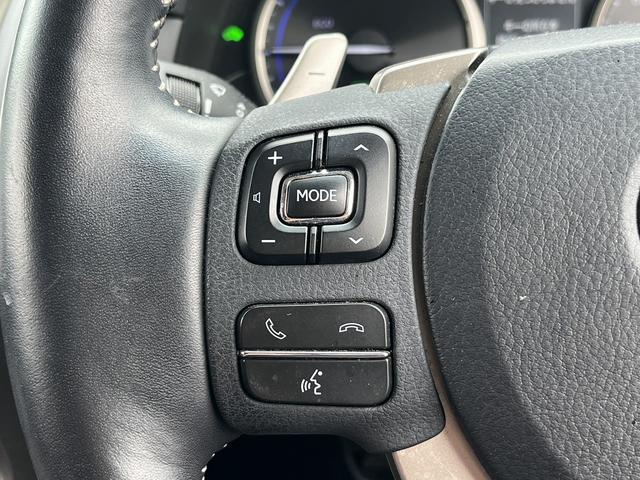 ＮＸ ＮＸ３００ｈ　バージョンＬ　赤革シート／純正ナビ／地デジ／全周囲カメラ／衝突軽減／小／レーダークルーズ／温熱シート／ＬＥＤ／パワーシート／連動リゲート／（50枚目）