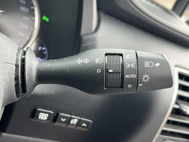 ＮＸ ＮＸ３００ｈ　バージョンＬ　赤革シート／純正ナビ／地デジ／全周囲カメラ／衝突軽減／小／レーダークルーズ／温熱シート／ＬＥＤ／パワーシート／連動リゲート／（52枚目）