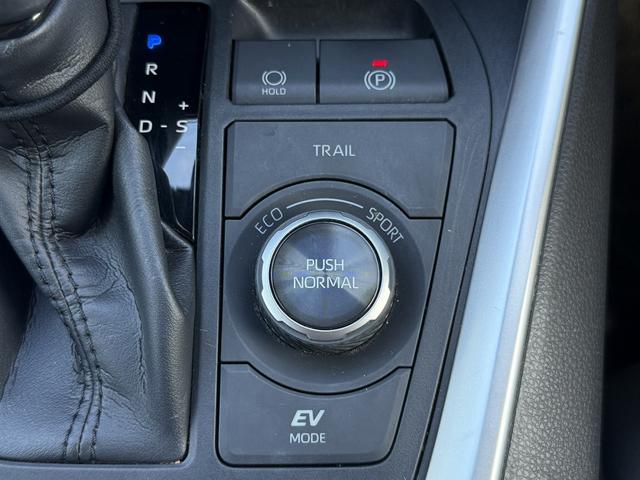 RAV4 ハイブリッドG 純正ナビ/地デジ/バックカメラ/パワーバックドア/シートーヒーター/パワーシート/LEDヘッドライト/衝突軽減ブレーキ/レーダークーズコントロール/スマートキー/プッシュスタート/ETC/(49枚目)