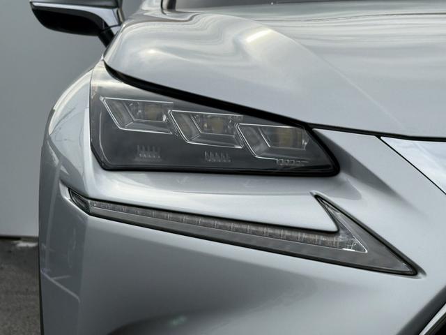 ＮＸ ＮＸ３００ｈ　バージョンＬ　純正ナビ／アラウンドビューモニター／フルレザーシート／クルコン／衝突軽減／ＥＴＣ／ＬＥＤ／（12枚目）