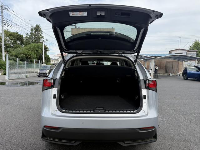 ＮＸ ＮＸ３００ｈ　バージョンＬ　純正ナビ／アラウンドビューモニター／フルレザーシート／クルコン／衝突軽減／ＥＴＣ／ＬＥＤ／（25枚目）