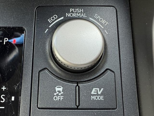 ＮＸ ＮＸ３００ｈ　バージョンＬ　純正ナビ／アラウンドビューモニター／フルレザーシート／クルコン／衝突軽減／ＥＴＣ／ＬＥＤ／（48枚目）