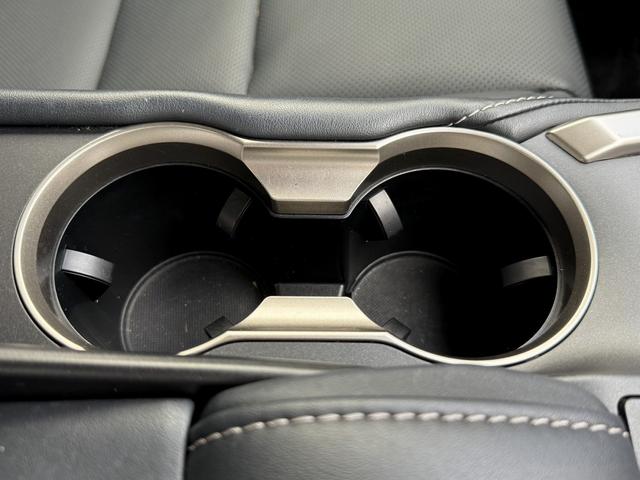 ＮＸ ＮＸ３００ｈ　バージョンＬ　純正ナビ／アラウンドビューモニター／フルレザーシート／クルコン／衝突軽減／ＥＴＣ／ＬＥＤ／（68枚目）