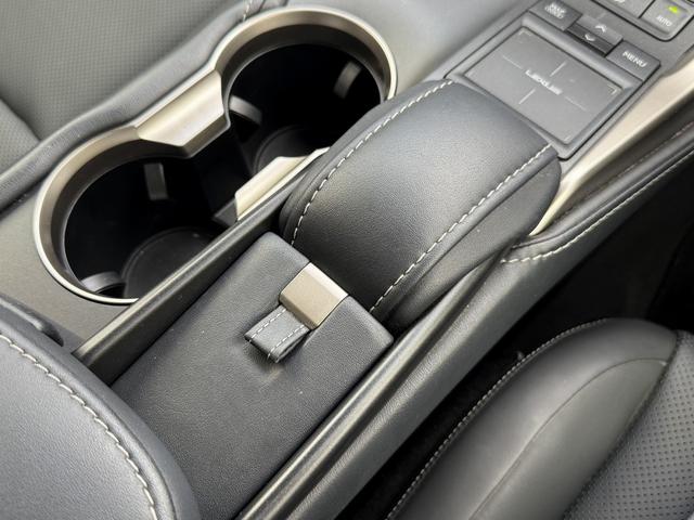 ＮＸ ＮＸ３００ｈ　バージョンＬ　純正ナビ／アラウンドビューモニター／フルレザーシート／クルコン／衝突軽減／ＥＴＣ／ＬＥＤ／（69枚目）