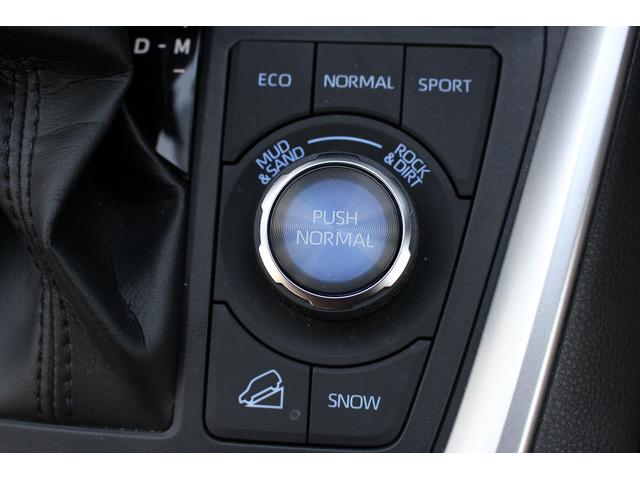 ＲＡＶ４ アドベンチャー　純正ディスプレイ／地デジ／Ｂカメラ／シートベンチレーション／衝突軽減／レーダークルーズ／ＬＥＤ／ＥＴＣ（46枚目）