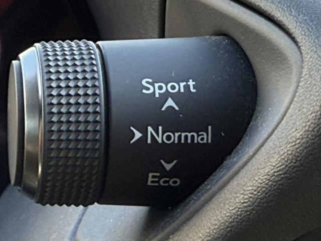 UX UX200 バージョンC 純正ナビ/地デジ/Bカメラ/シートヒータ-/レーダークルーズ/衝突軽減/パワーシート/ETC/ステアリングヒーター/電動リアゲート/Bluetooth接続/スマートフォン置くだけ充電/(50枚目)