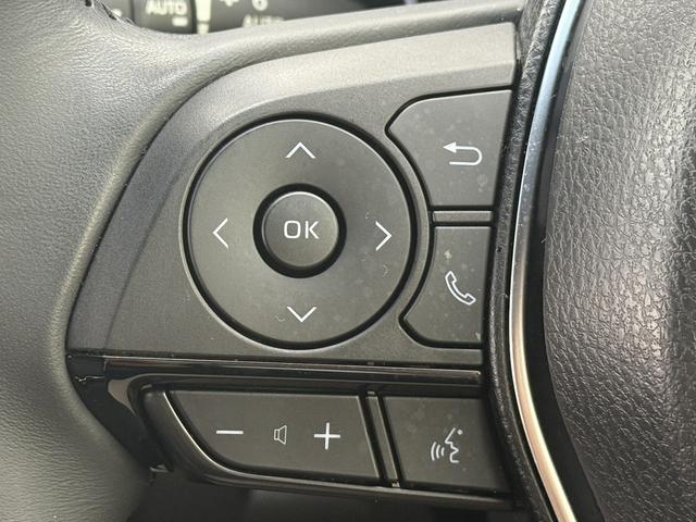 ハリアー Z 禁煙車 純正12.3インチナビ JBLプレミアムサウンド9スピーカー フルセグ/電動リアゲート バックカメラ アダクティブクルーズ 衝突軽減 ブラインドスポットモニター デジタルインナーミラー ETC(48枚目)