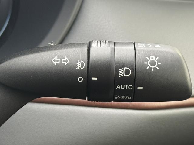 ハリアー Z 禁煙車 純正12.3インチナビ JBLプレミアムサウンド9スピーカー フルセグ/電動リアゲート バックカメラ アダクティブクルーズ 衝突軽減 ブラインドスポットモニター デジタルインナーミラー ETC(49枚目)