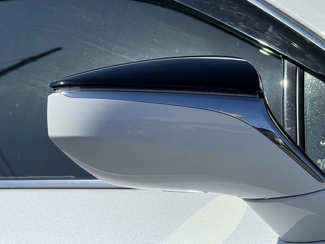 UX UX250h バージョンL ムーンルーフ 3眼LEDヘッドライト OP黒革シート メーカーナビ バックカメラ シートベンチレーション フルセグTV パワーバックドア ステアリングヒーター アダクティブクルーズ 衝突軽減ブレーキ(22枚目)