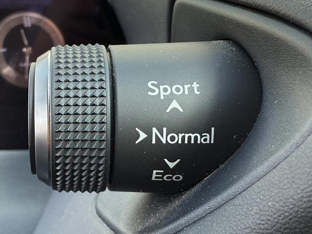 UX UX250h バージョンL ムーンルーフ 3眼LEDヘッドライト OP黒革シート メーカーナビ バックカメラ シートベンチレーション フルセグTV パワーバックドア ステアリングヒーター アダクティブクルーズ 衝突軽減ブレーキ(66枚目)