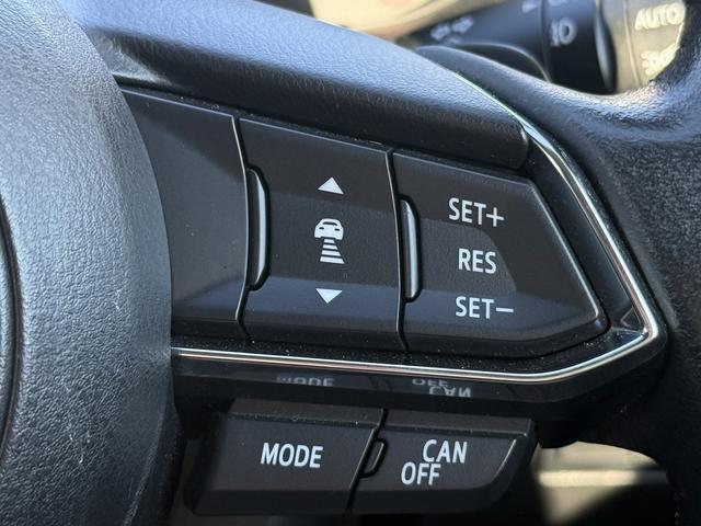 ＣＸ－３ ＸＤ　Ｌパッケージ　禁煙車　レッドライン入ブラック革スエードコンビシート　フルセグ　バックカメラ　ステアリングヒーター　シートヒーター　メモリー付パワーシート　アダプティブクルーズコントロール　パドルシフト（51枚目）