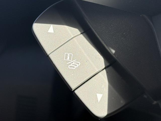 レヴォーグ STIスポーツ EX 禁煙車 レザーシート ハーマンカードン10スピーカー メモリー&メモリ付きパワーシート 衝突軽減 運転支援 電動リアゲート ステア連動ランプ ブラインドスポット 360度カメラ 11.6型純正ナビ(53枚目)