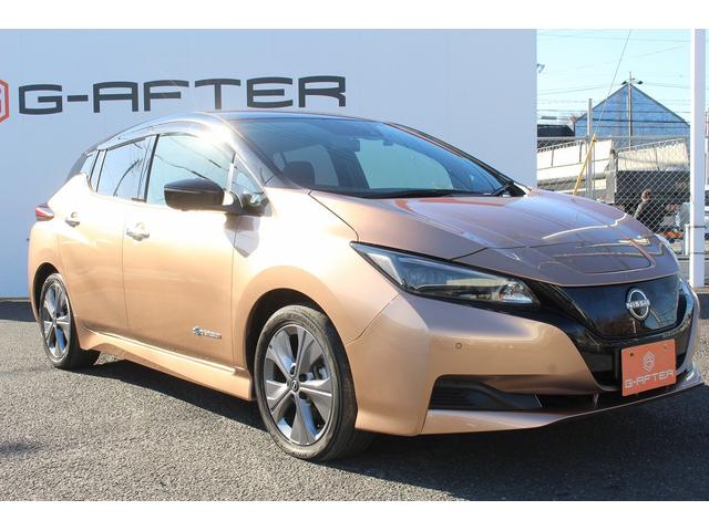 リーフ X Vセレクション 寒冷地仕様 純正9インチナビ プロパイロット アラウンドビューカメラ 衝突軽減ブレーキ ステアリングヒーター 全席シートヒーター ビルドインETC2.0 レーンキープ 純正17インチアルミホイール(21枚目)