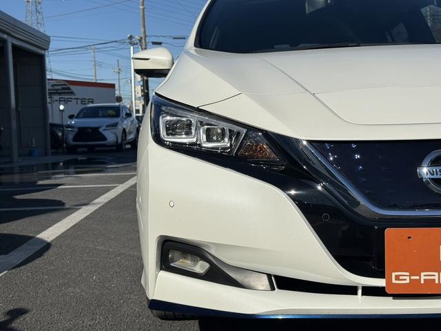 リーフ ｅ＋　Ｇ　純正９インチナビ　フルセグ　アラウンドビューモニター　シートヒーター　ステアリングヒーター　衝突軽減ブレーキ　運転支援システム　レーダークルーズ　ＢＯＳＥサウンドシステム（27枚目）