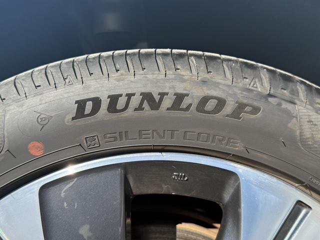 リーフ ｅ＋　Ｇ　純正９インチナビ　フルセグ　アラウンドビューモニター　シートヒーター　ステアリングヒーター　衝突軽減ブレーキ　運転支援システム　レーダークルーズ　ＢＯＳＥサウンドシステム（66枚目）