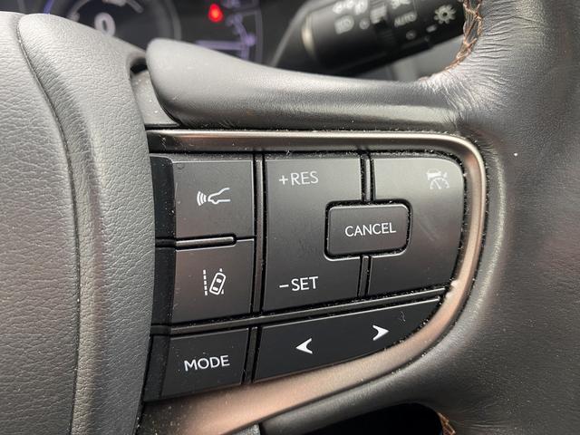 ＵＸ ＵＸ２５０ｈ　バージョンＣ　純正１０インチナビ　フルセグ　バックカメラ　シートヒーター　アダプティブクルーズ　電動リアゲート　茶色Ｌ－ＴＥＸ合皮シート　ステアリングヒーター　衝突軽減ブレーキ　ＥＴＣ２．０　レーンキープアシスト（50枚目）