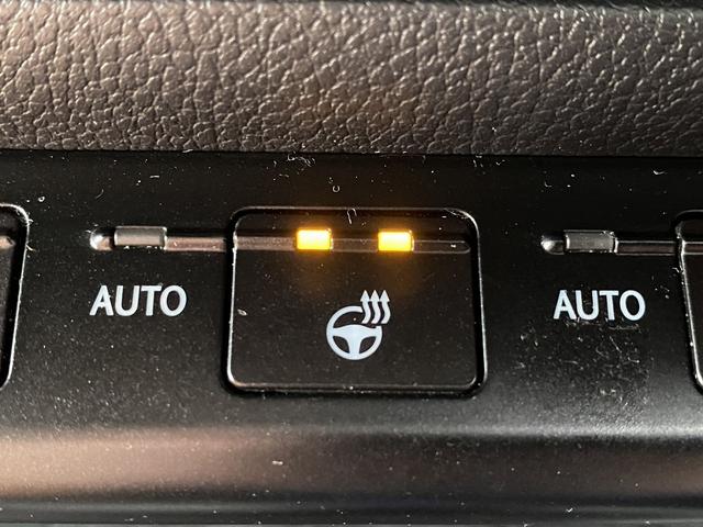 ＵＸ ＵＸ２５０ｈ　バージョンＣ　純正１０インチナビ　フルセグ　バックカメラ　シートヒーター　アダプティブクルーズ　電動リアゲート　茶色Ｌ－ＴＥＸ合皮シート　ステアリングヒーター　衝突軽減ブレーキ　ＥＴＣ２．０　レーンキープアシスト（60枚目）