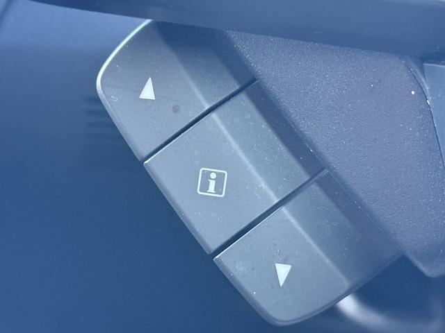 レヴォーグ ＧＴ　禁煙車　純正９インチディスプレイ　フルセグ　バックカメラ　衝突軽減ブレーキ　運転支援システム　ヒーター付きパワーシート　レーダークルーズ　ステアリング連動ヘッドランプシステム　ホールド付きブレーキ（53枚目）