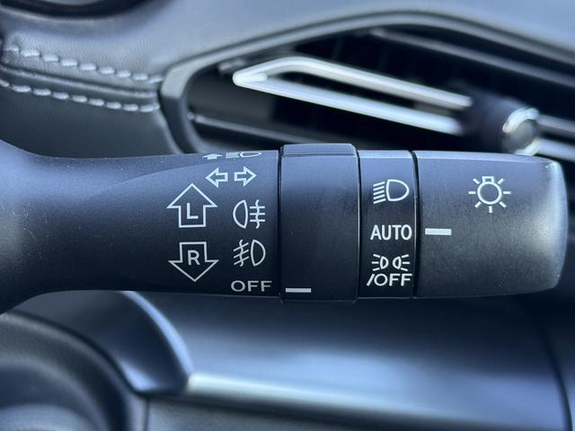 レヴォーグ ＧＴ　禁煙車　純正９インチディスプレイ　フルセグ　バックカメラ　衝突軽減ブレーキ　運転支援システム　ヒーター付きパワーシート　レーダークルーズ　ステアリング連動ヘッドランプシステム　ホールド付きブレーキ（56枚目）