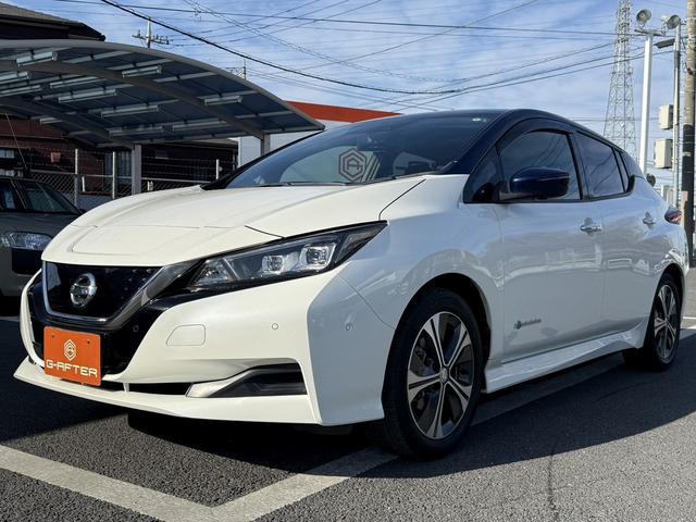 リーフ Ｘ　ワンオーナー　純正ナビ　フルセグ　３６０度カメラ　純正１７ＡＷ　ＬＥＤライト　ステアリング＆シートヒーター　パーキングアシスト　運転支援システム　衝突軽減ブレーキ　コーナーセンサー　ビルドインＥＴＣ（24枚目）