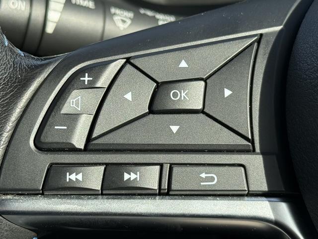 リーフ Ｘ　ワンオーナー　純正ナビ　フルセグ　３６０度カメラ　純正１７ＡＷ　ＬＥＤライト　ステアリング＆シートヒーター　パーキングアシスト　運転支援システム　衝突軽減ブレーキ　コーナーセンサー　ビルドインＥＴＣ（54枚目）