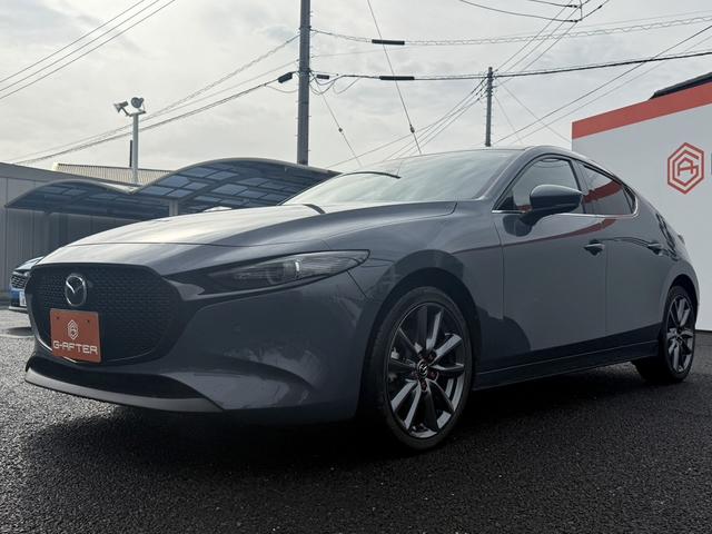 ���Ǝҗl�ւ̔̔��͂��f�肳���Ă��������܂��B�@�Ԍ������ԗ��̏ꍇ�́A�Ԍ����擾�������x�������z�ŕ\�����Ă���܂��B