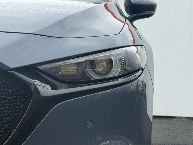 ���Ǝҗl�ւ̔̔��͂��f�肳���Ă��������܂��B�@�Ԍ������ԗ��̏ꍇ�́A�Ԍ����擾�������x�������z�ŕ\�����Ă���܂��B