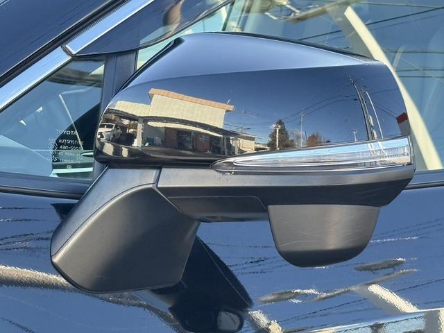 ＲＡＶ４ アドベンチャー　禁煙車　純正９インチナビ　フルセグ　バックカメラ　黒革シート　パワーシート　シートエアコン　衝突軽減ブレーキ　ロードサイドアシスト　ブラインドスポットモニター　ビルドインＥＴＣ２．０　シートヒーター（29枚目）