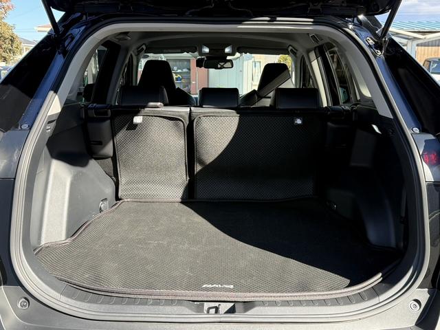 ＲＡＶ４ アドベンチャー　禁煙車　純正９インチナビ　フルセグ　バックカメラ　黒革シート　パワーシート　シートエアコン　衝突軽減ブレーキ　ロードサイドアシスト　ブラインドスポットモニター　ビルドインＥＴＣ２．０　シートヒーター（39枚目）