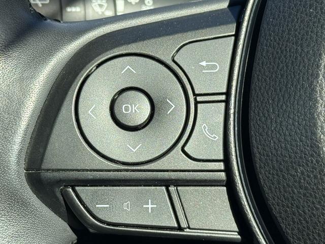 ＲＡＶ４ アドベンチャー　禁煙車　純正９インチナビ　フルセグ　バックカメラ　黒革シート　パワーシート　シートエアコン　衝突軽減ブレーキ　ロードサイドアシスト　ブラインドスポットモニター　ビルドインＥＴＣ２．０　シートヒーター（50枚目）