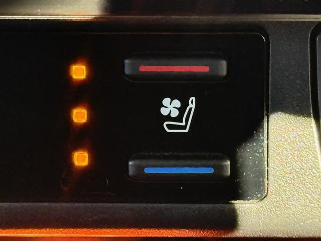 ＲＡＶ４ アドベンチャー　禁煙車　純正９インチナビ　フルセグ　バックカメラ　黒革シート　パワーシート　シートエアコン　衝突軽減ブレーキ　ロードサイドアシスト　ブラインドスポットモニター　ビルドインＥＴＣ２．０　シートヒーター（57枚目）