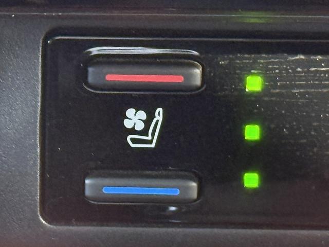 ＲＡＶ４ アドベンチャー　禁煙車　純正９インチナビ　フルセグ　バックカメラ　黒革シート　パワーシート　シートエアコン　衝突軽減ブレーキ　ロードサイドアシスト　ブラインドスポットモニター　ビルドインＥＴＣ２．０　シートヒーター（58枚目）