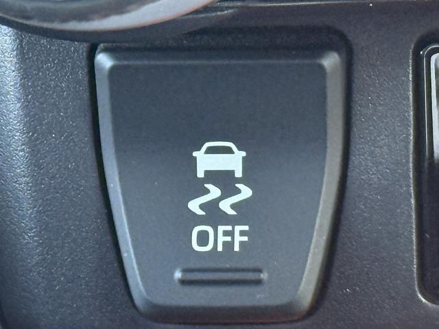 ＲＡＶ４ アドベンチャー　禁煙車　純正９インチナビ　フルセグ　バックカメラ　黒革シート　パワーシート　シートエアコン　衝突軽減ブレーキ　ロードサイドアシスト　ブラインドスポットモニター　ビルドインＥＴＣ２．０　シートヒーター（59枚目）