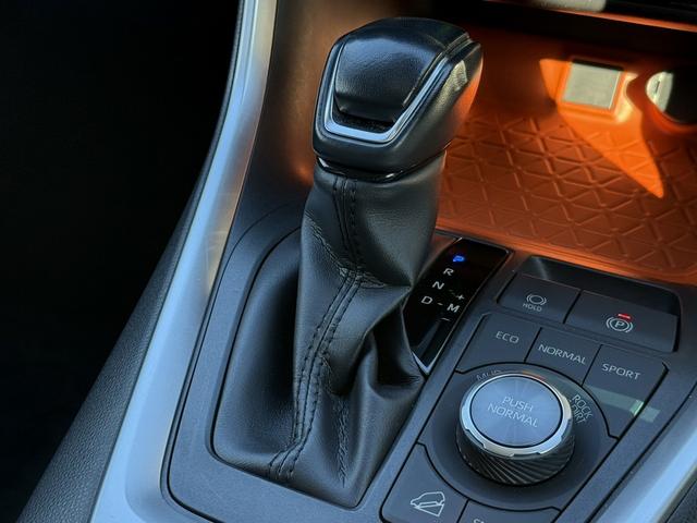 ＲＡＶ４ アドベンチャー　禁煙車　純正９インチナビ　フルセグ　バックカメラ　黒革シート　パワーシート　シートエアコン　衝突軽減ブレーキ　ロードサイドアシスト　ブラインドスポットモニター　ビルドインＥＴＣ２．０　シートヒーター（60枚目）