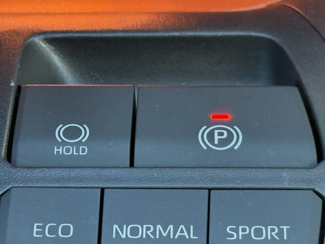 ＲＡＶ４ アドベンチャー　禁煙車　純正９インチナビ　フルセグ　バックカメラ　黒革シート　パワーシート　シートエアコン　衝突軽減ブレーキ　ロードサイドアシスト　ブラインドスポットモニター　ビルドインＥＴＣ２．０　シートヒーター（61枚目）