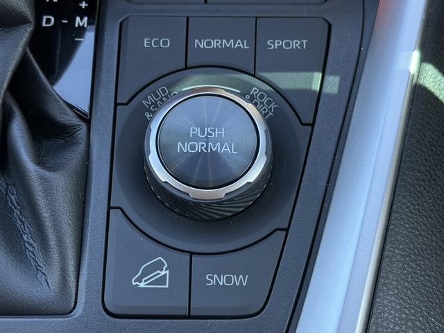 ＲＡＶ４ アドベンチャー　禁煙車　純正９インチナビ　フルセグ　バックカメラ　黒革シート　パワーシート　シートエアコン　衝突軽減ブレーキ　ロードサイドアシスト　ブラインドスポットモニター　ビルドインＥＴＣ２．０　シートヒーター（62枚目）