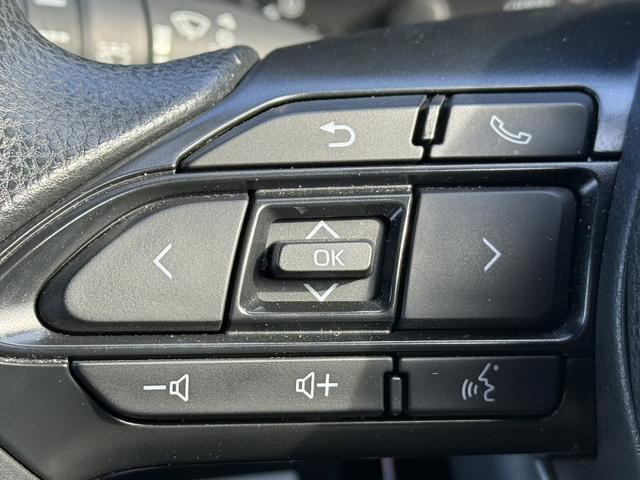 シエンタ Ｇ　禁煙車　ブラインドスポットモニター　Ｒ４年登録　純正８型ディスプレイオーディオ　Ｂカメラ　衝突軽減　レーダークルーズコントロール　両側電動スライドドア　クリアランスソナー　レーンアシスト（48枚目）