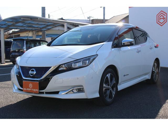 ���Ǝҗl�ւ̔̔��͂��f�肳���Ă��������܂��B�@�Ԍ������ԗ��̏ꍇ�́A�Ԍ����擾�������x�������z�ŕ\�����Ă���܂��B