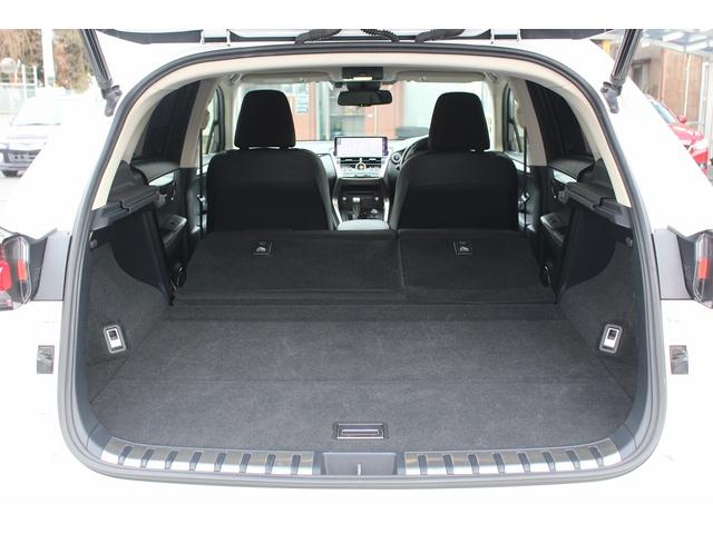 ＮＸ ＮＸ３００ｈ　Ｉパッケージ　後期型　禁煙車　純正１０インチナビ　パワーバックドア　ポジションメモリー付きパワーシート　ビルトインＥＴＣ２．０　レーダークルーズ　左サイドカメラ　バックモニター　フルセグ　ＬＥＤヘッドライト（40枚目）