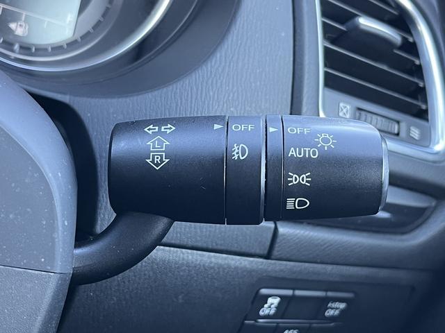 ���Ǝҗl�ւ̔̔��͂��f�肳���Ă��������܂��B�@�Ԍ������ԗ��̏ꍇ�́A�Ԍ����擾�������x�������z�ŕ\�����Ă���܂��B