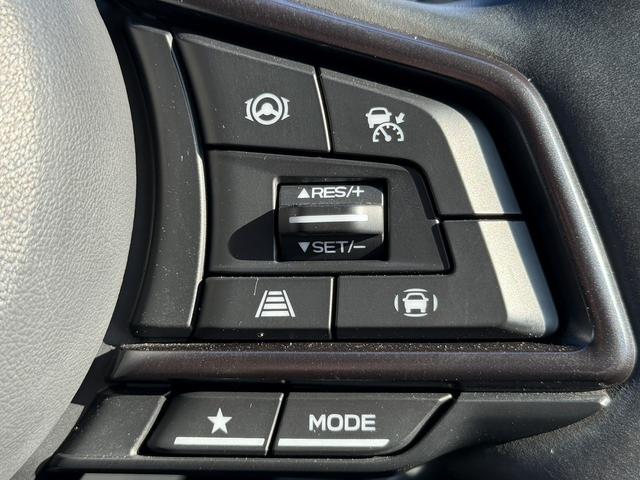 ���Ǝҗl�ւ̔̔��͂��f�肳���Ă��������܂��B�@�Ԍ������ԗ��̏ꍇ�́A�Ԍ����擾�������x�������z�ŕ\�����Ă���܂��B