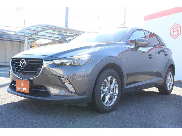 ���Ǝҗl�ւ̔̔��͂��f�肳���Ă��������܂��B�@�Ԍ������ԗ��̏ꍇ�́A�Ԍ����擾�������x�������z�ŕ\�����Ă���܂��B