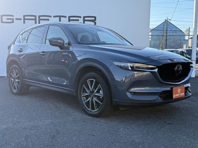 ���Ǝҗl�ւ̔̔��͂��f�肳���Ă��������܂��B�@�Ԍ������ԗ��̏ꍇ�́A�Ԍ����擾�������x�������z�ŕ\�����Ă���܂��B