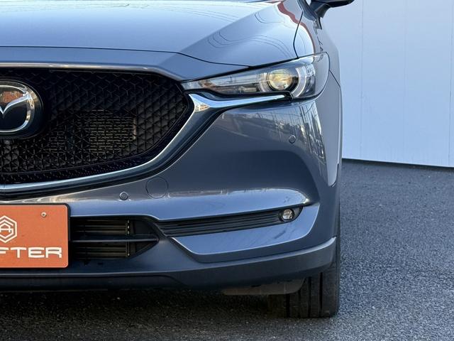 ���Ǝҗl�ւ̔̔��͂��f�肳���Ă��������܂��B�@�Ԍ������ԗ��̏ꍇ�́A�Ԍ����擾�������x�������z�ŕ\�����Ă���܂��B