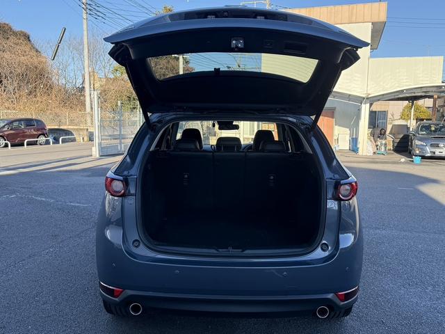 ���Ǝҗl�ւ̔̔��͂��f�肳���Ă��������܂��B�@�Ԍ������ԗ��̏ꍇ�́A�Ԍ����擾�������x�������z�ŕ\�����Ă���܂��B