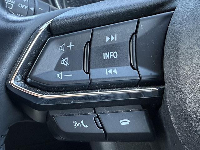 ���Ǝҗl�ւ̔̔��͂��f�肳���Ă��������܂��B�@�Ԍ������ԗ��̏ꍇ�́A�Ԍ����擾�������x�������z�ŕ\�����Ă���܂��B