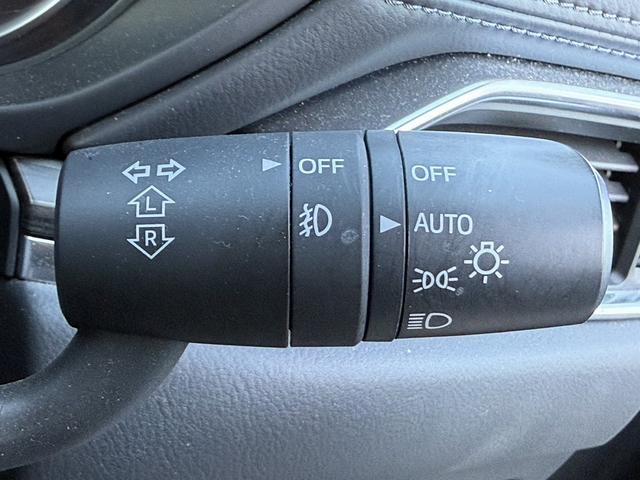 ���Ǝҗl�ւ̔̔��͂��f�肳���Ă��������܂��B�@�Ԍ������ԗ��̏ꍇ�́A�Ԍ����擾�������x�������z�ŕ\�����Ă���܂��B