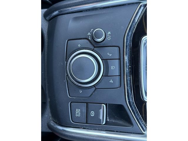 ���Ǝҗl�ւ̔̔��͂��f�肳���Ă��������܂��B�@�Ԍ������ԗ��̏ꍇ�́A�Ԍ����擾�������x�������z�ŕ\�����Ă���܂��B