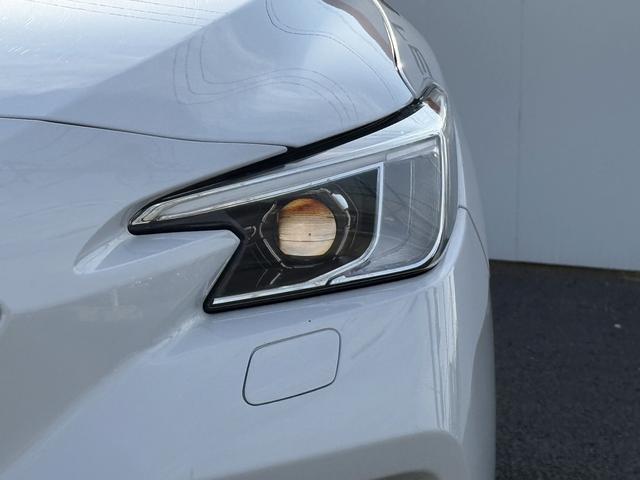 ���Ǝҗl�ւ̔̔��͂��f�肳���Ă��������܂��B�@�Ԍ������ԗ��̏ꍇ�́A�Ԍ����擾�������x�������z�ŕ\�����Ă���܂��B