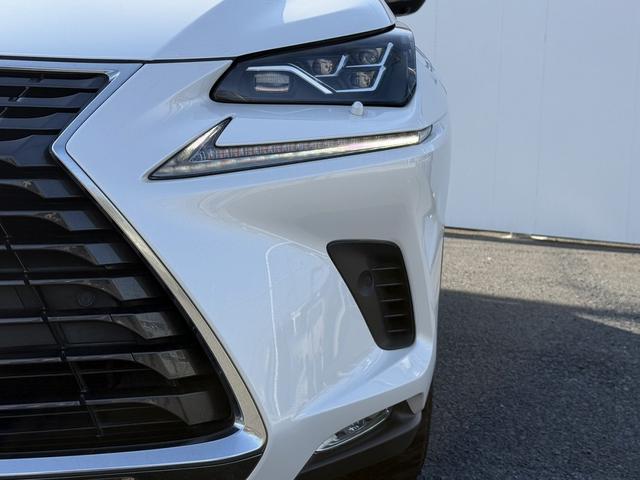 ���Ǝҗl�ւ̔̔��͂��f�肳���Ă��������܂��B�@�Ԍ������ԗ��̏ꍇ�́A�Ԍ����擾�������x�������z�ŕ\�����Ă���܂��B